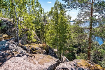 Russia, Lake Ladoga, August 2020. Trees among stones on top of a cliff overlooking the lake.