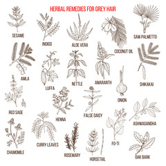 Best herbal remedies for gray hair.