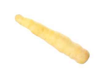Whole fresh raw carrot isolated on white