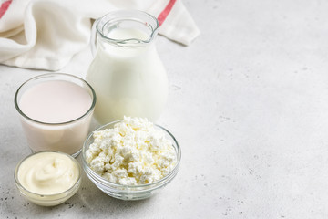 Dairy products. Copy space.