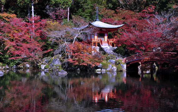 Beautiful traditional japan pagoda and bridge over the pool in the garden. Autumn in Japan.
