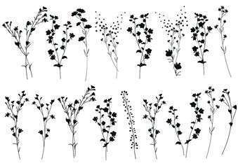 Big set silhouettes botanic blossom floral elements. Branches, leaves, herbs, wild plants, flowers. Garden, meadow, feild collection leaf, foliage. Vector illustration isolated on white background