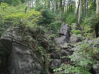 waterfall in the woods