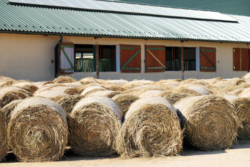 Hay bales are stacked in large stacks on an unknown riding centre