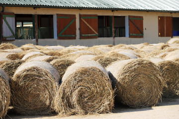 Hay bales are stacked in large stacks on an unknown riding centre