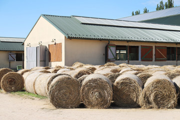Hay bales are stacked in large stacks on an unknown riding centre