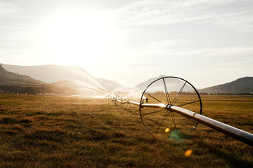 Industrial farming water sprinklers spray water on a field at sunrise