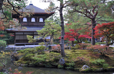 Fototapeta na wymiar Breathtaking view on old traditional temple in japan garden during autumn season.