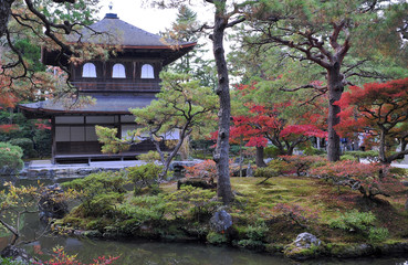 Fototapeta premium Breathtaking view on old traditional temple in japan garden during autumn season.
