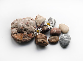 black and white sea stones