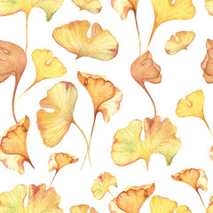 Fototapeta na wymiar Seamless floral hand drawn patter. Watercolour painted Ginkgo biloba autumn leaves.