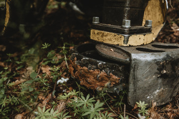 Detail of the jagged metal part of the stopped forest harvester with stuck bark remnants on it
