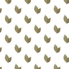 Seamless pattern of two bay leaves on a white background
