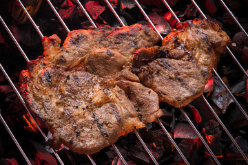 A piece of meat on the coals grill