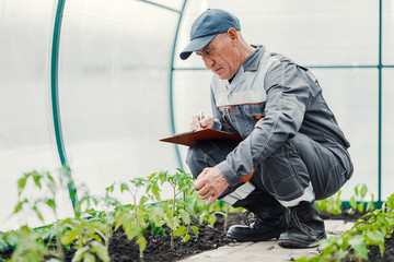 farmer examines the plants and records observations in a tablet.