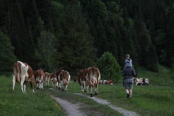 Fototapeta premium Werfenweng in Salzburgerland