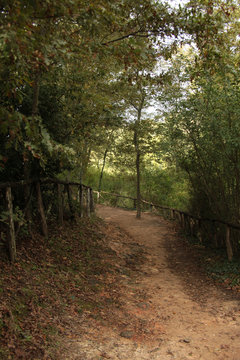 Natura, Toscana, Italia.