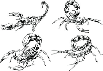 vector drawings sketches different insects bugs Scorpions spiders drawn in ink by hand , objects with no background