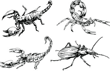 vector drawings sketches different insects bugs Scorpions spiders drawn in ink by hand , objects with no background