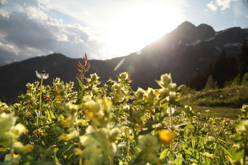 Werfenweng in Salzburgerland