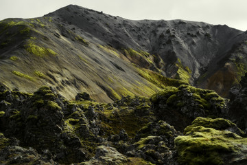 Lava field at Landmannalaugar in Fjallabak natural reserve, South Iceland. Beautiful nature landscape