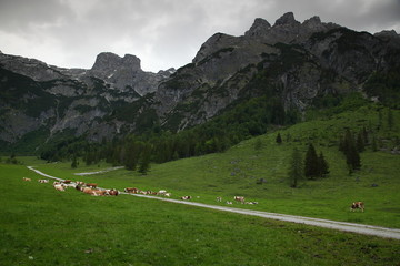 Werfenweng in Salzburgerland