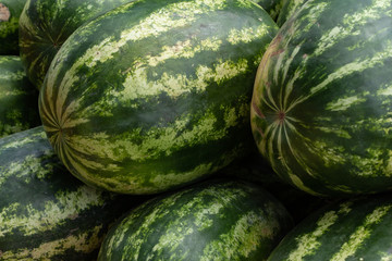Ripe watermelons sell fresh produce on the market.