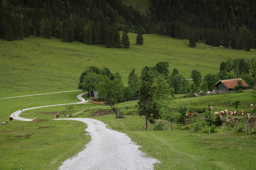 Werfenweng in Salzburgerland