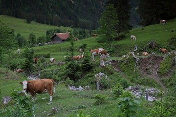 Werfenweng in Salzburgerland