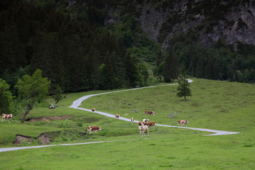 Werfenweng in Salzburgerland