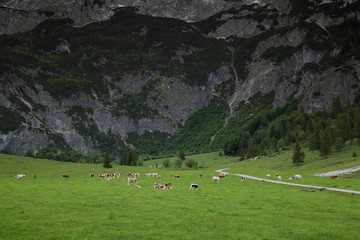Werfenweng in Salzburgerland