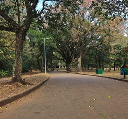 alley in the park