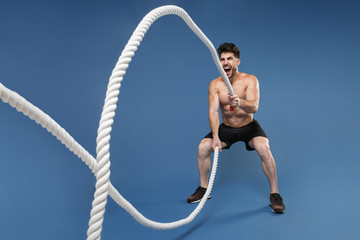 Full length portrait screaming young fitness sporty strong guy bare-chested muscular sportsman isolated on blue background. Workout sport motivation lifestyle concept. Working out with battle ropes.