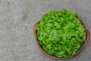 brown container with fresh lettuce viewed from above, gray background