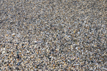 Sea pebbles half in water for background.