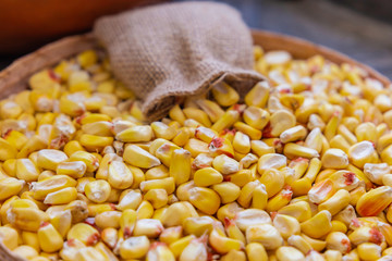 cloth bag over a basket full of dry shelled corn
