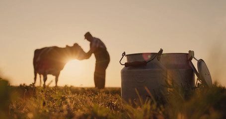 The owner is near his cow at sunset. In the foreground are milk cans