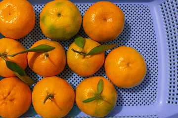 purple basket with tangerines and leaves close up