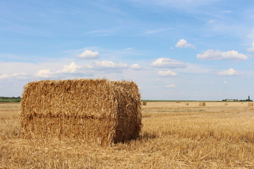 Fototapeta premium Large haystack in a harvested wheat field