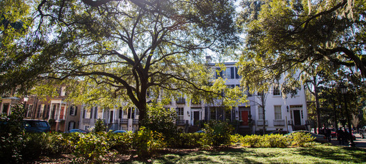 statue in Savannah Georgia of 