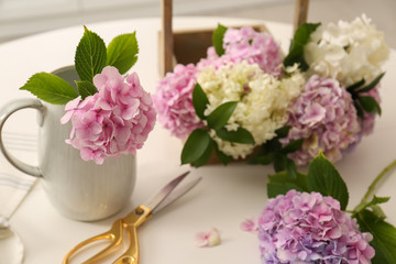 Beautiful hydrangea flowers and scissors on white table. Interior design element