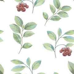 Seamless botanical pattern. Isolated branch with berries and mines against white background. A bunch of mountain ash. Graceful leaves and berries painted in watercolor.