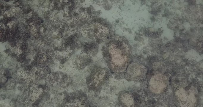 Das neue Bild einer einst farbenfrohen und gl&uuml;cklichen Welt