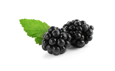 Tasty ripe blackberries and leaf on white background