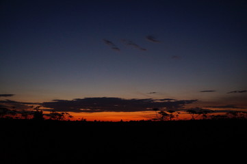 sunset in the desert
