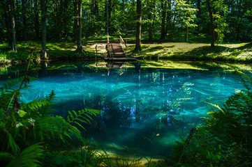 Blue lake in the park