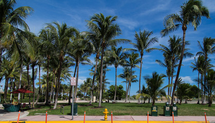 Street Ocean Drive Miami