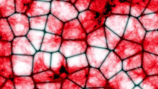 Cells in our bodies that are beautiful of life