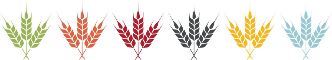 Coloured icon of wheat ears for agriculture