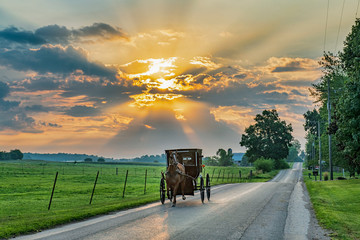 Amish Buggy on Rural Road Early Morning with Sunbeams